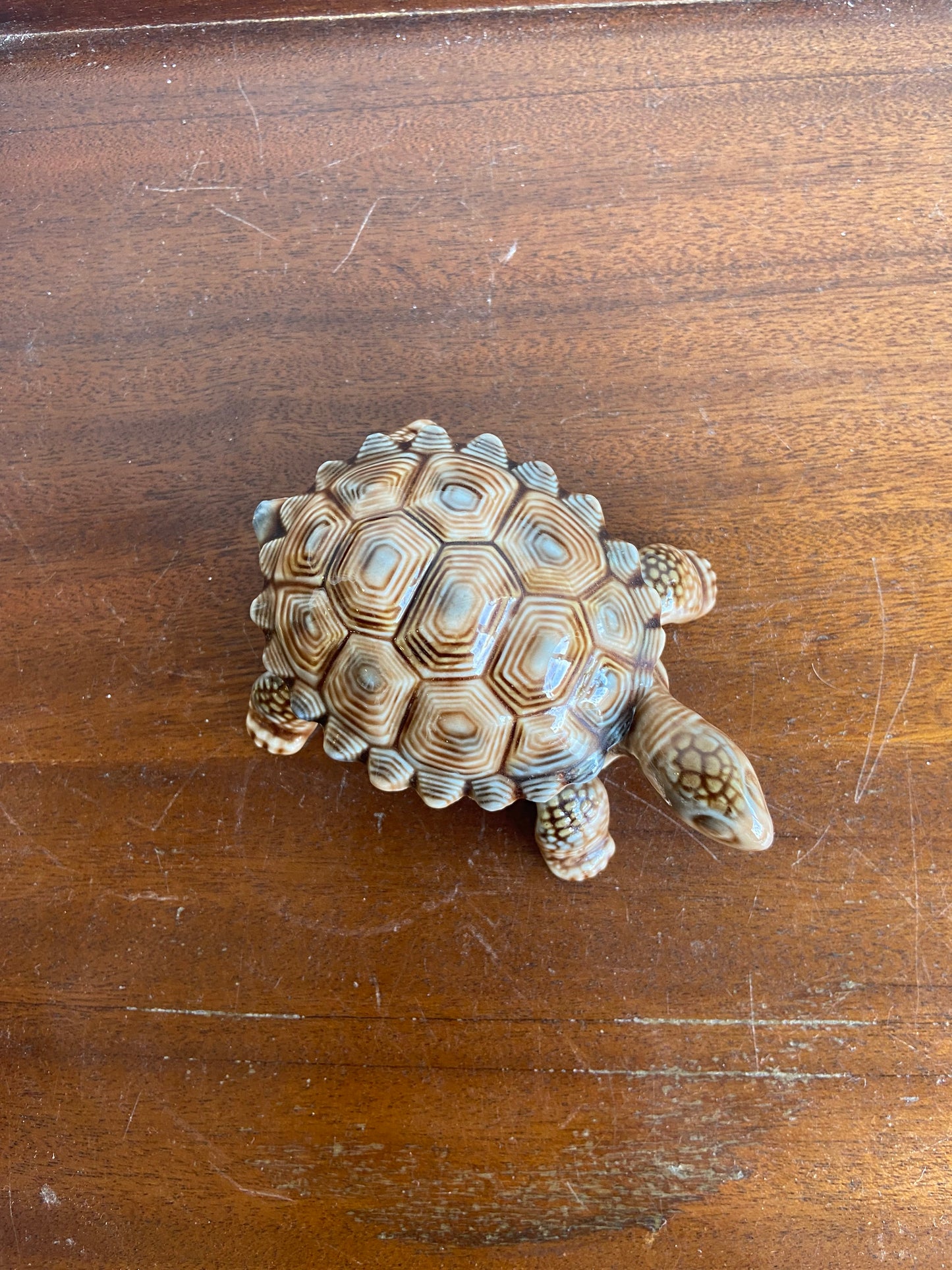 Wade Tortoise Trinket Tray