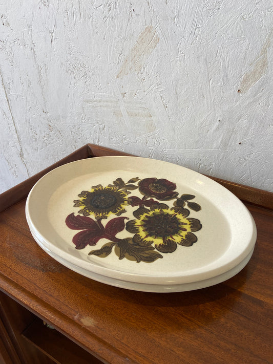 Palissy Pottery 'Coniston' Oval Plates