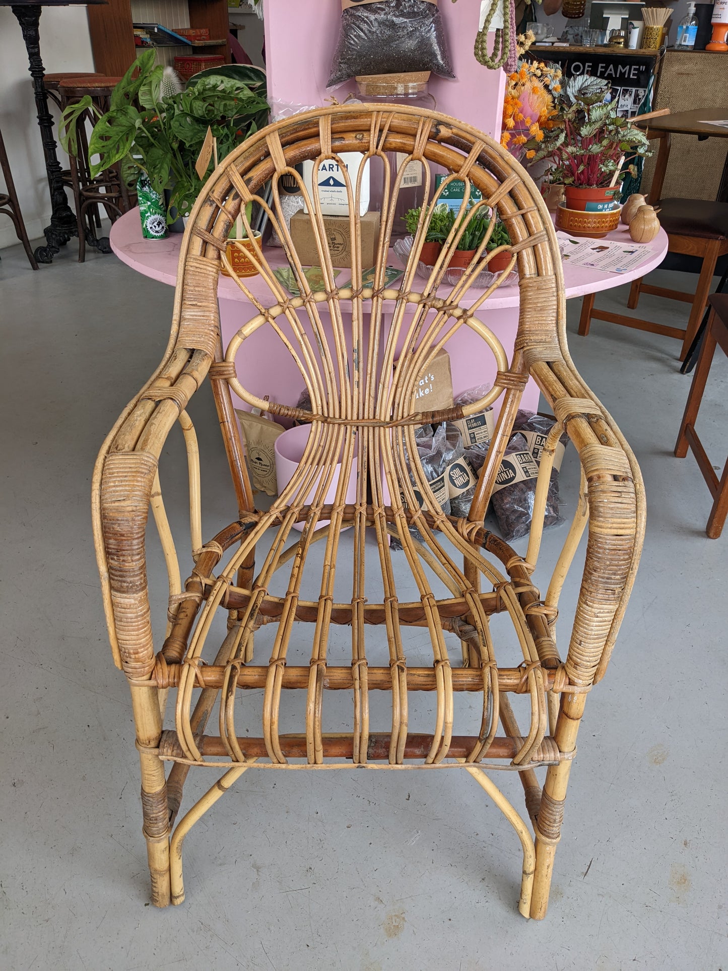 Cane Armchair