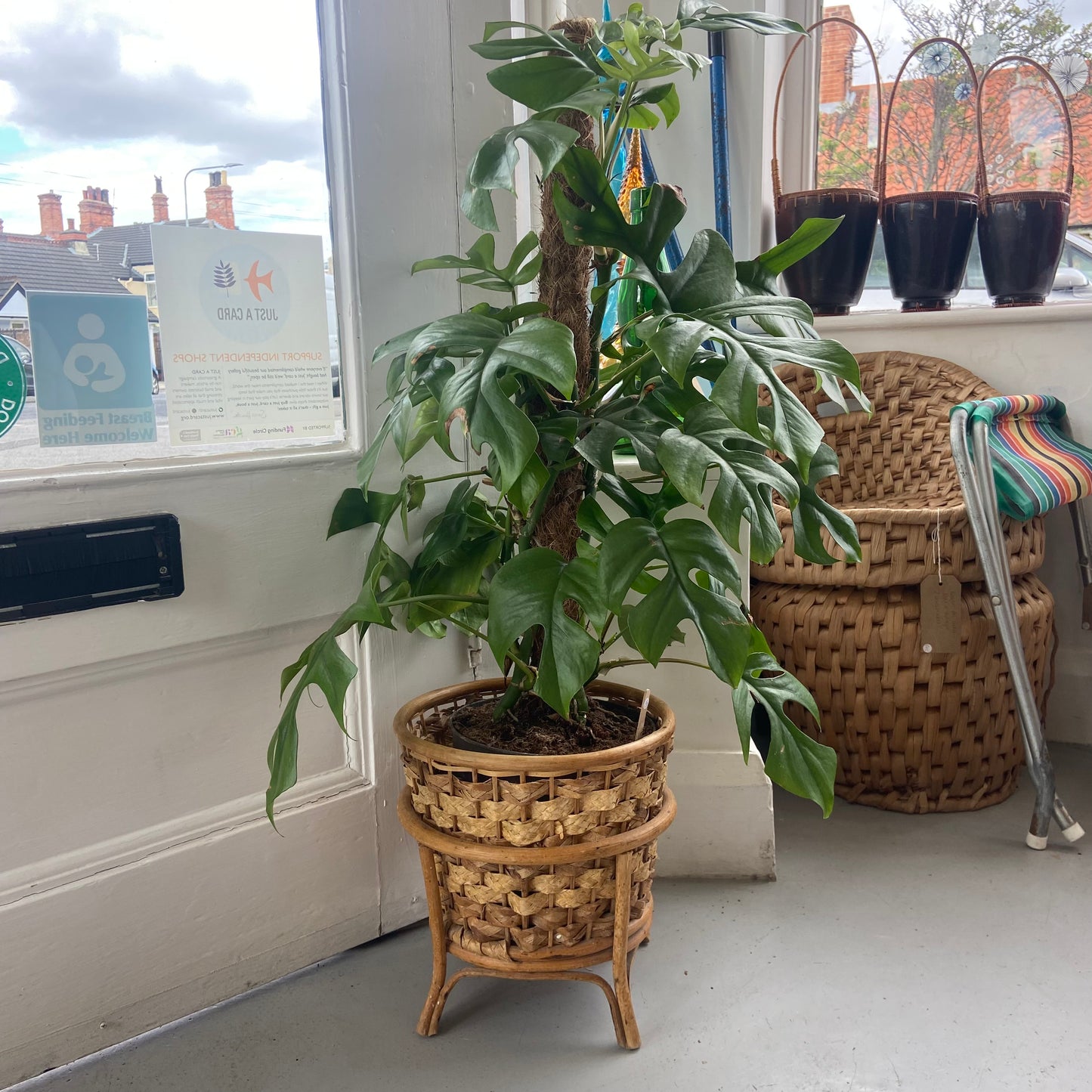 Vintage Woven Bamboo Plant Pot