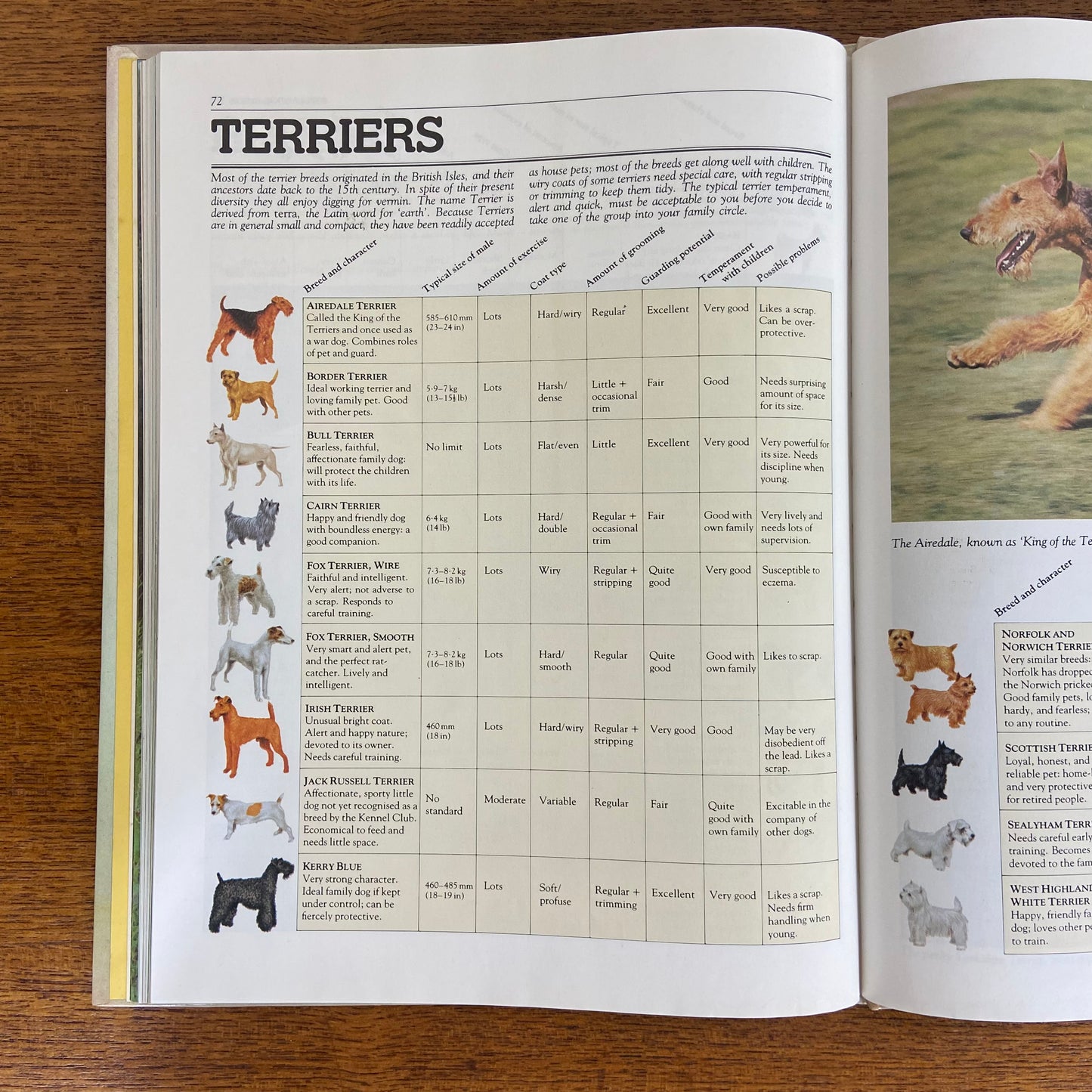Vintage SIT! Dog Training Book