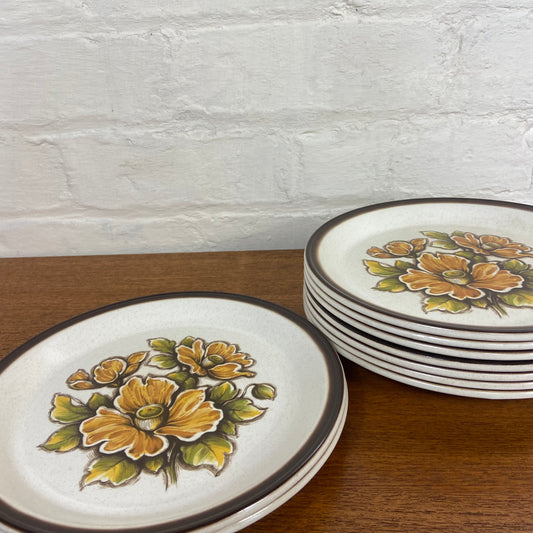 Vintage Barratts of Staffordshire "Nutwood" Dinner Plates