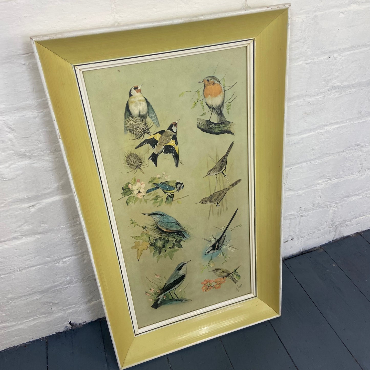 Vintage Framed Bird Study Print by K J Woods