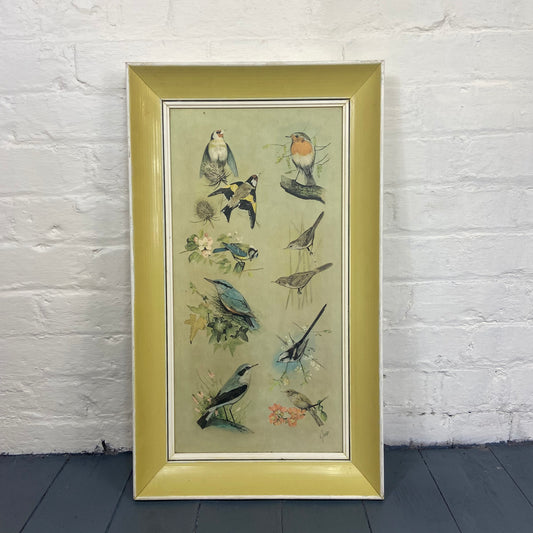 Vintage Framed Bird Study Print by K J Woods