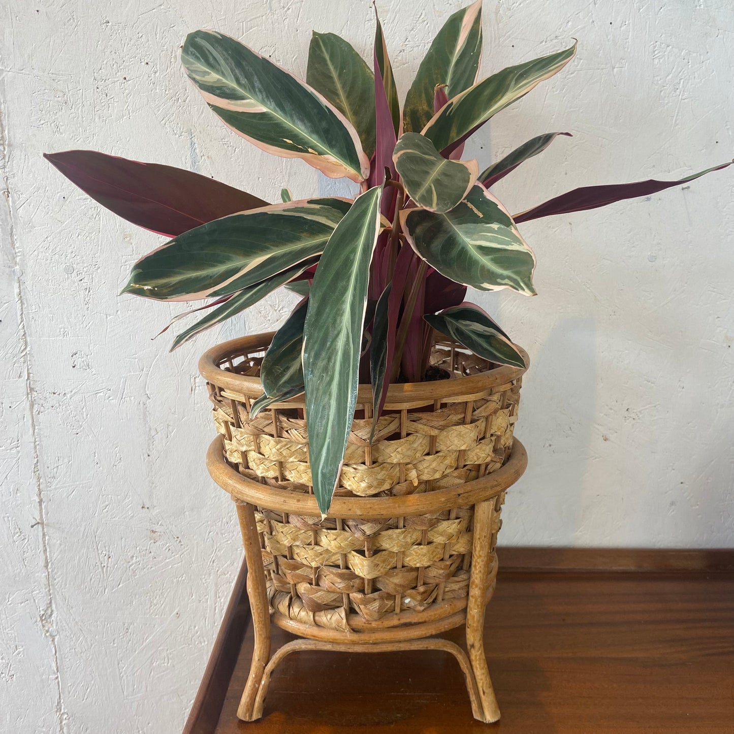 Vintage Woven Bamboo Plant Pot